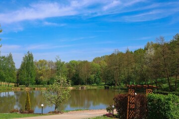 Wall Mural - Serene lake landscape with clear blue sky.