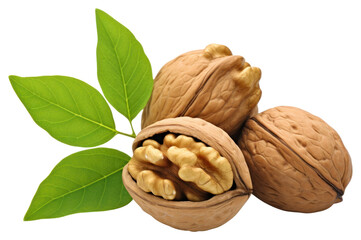 Canvas Print - PNG Walnuts plant food white background.