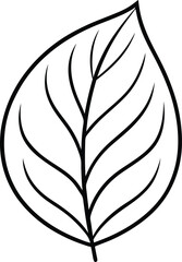 Fem leaf line art icon, vector illustration on black and white.