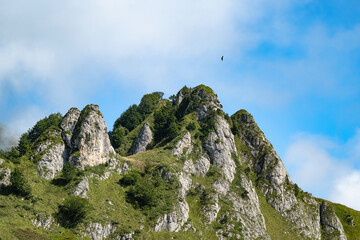 Mountain landscape with green grass and blue sky with clouds and flying vultures