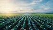 © tinnakorn - A futuristic view of an expansive field showcasing smart farming technology under a vibrant sky at sunrise.