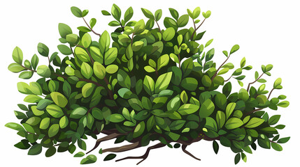 Cute green bush from the forest cartoon, isolated nature object for kids design. Branches and leaves of a fluffy bush isolated on a white background. Vector hand drawn illustration in paper cute style