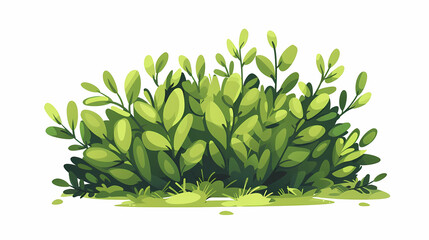 Wall Mural - Cute green bush from the forest cartoon, isolated nature object for kids design. Branches and leaves of a fluffy bush isolated on a white background. Vector hand drawn illustration in paper cute style