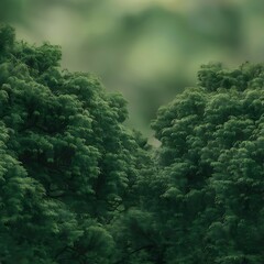 Wall Mural - Full frame of green foliage on branches and blurred background