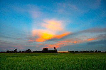 Wall Mural - sunrise sunray sunset in field.sunset at cultivated land in the countryside on a summer evening with