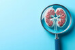 © Slowlifetrader - Health check-up and kidney care concept. Magnifying glass looking at kidney.