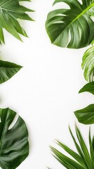 Wall Mural - Tropical leaves on white