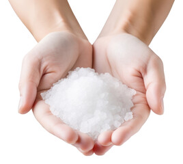 Poster - PNG Sea salt hand holding white.