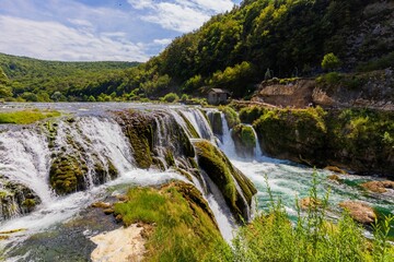 Wall Mural - Scenic waterfall landscape with lush greenery