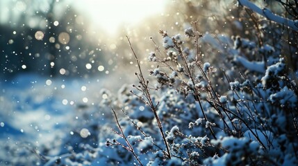 Sticker - A snowy field with a few branches and some snow on them. The snow is falling and the sun is shining through the trees