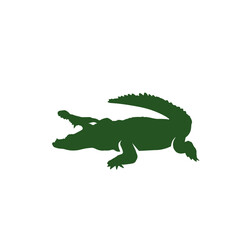 Crocodile logo template symbol of alligator vector image