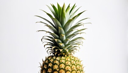 A close-up of a pineapple showcasing its vibrant green leaves and textured skin.