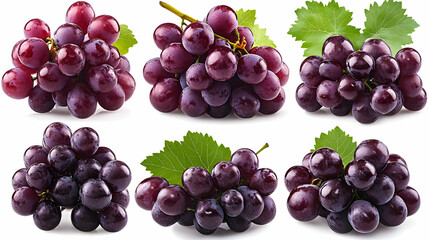 A collection of fresh purple grapes arranged in various clusters with green leaves.