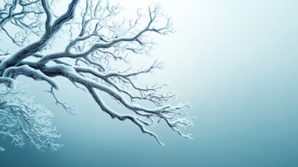 Canvas Print - A close up of a tree with snow on it's branches, AI