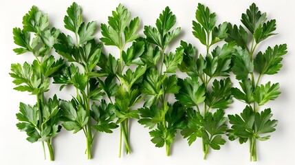 Fresh parsley sprigs arranged on a white background. A healthy addition to any meal.