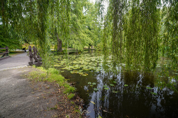 pond of the british botanical garden of Bratislava