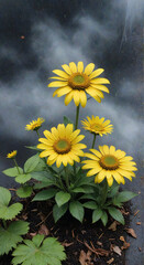 Wall Mural - sunflower on the sky background