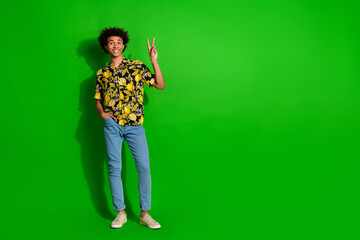 Photo of nice positive cool man wear tropical print clothes v-sign empty space isolated on green color background