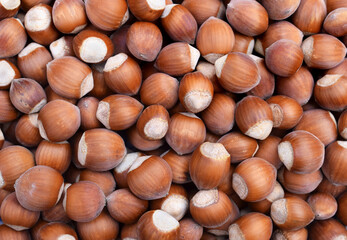 Wall Mural - Hazelnuts in shell close up