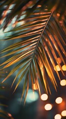 Canvas Print - Tropical palm leaf shining under warm sunset light