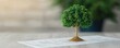 © ParinApril - A miniature tree model sits on a document, symbolizing growth, sustainability, and environmental awareness.