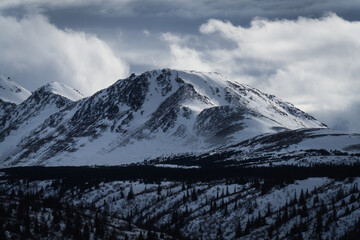 Wall Mural - Flattop Mountain