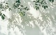 © stock.finder - Abstract natural tree leaves shadow on white wall background