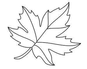 maple leaf plant element - vector linear picture for coloring. outline. maple leaf for sign, logo or