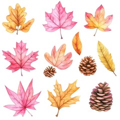 Wall Mural - Watercolor Autumn Leaves and Pine Cones Set