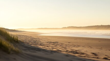 Wall Mural - A soft, blurred beach at sunset with a clear sky for text 