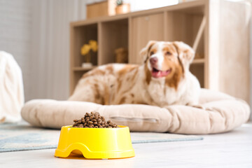 Canvas Print - Bowl with tasty pet food and cute Australian Shepherd dog on pet bed at home