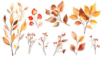 PNG Autumn leaves on branch