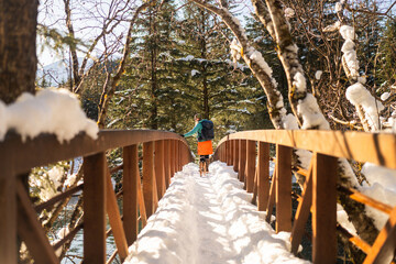 Winter Bridge