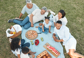 Relax, above and picnic with family in park for food, bonding and summer vacation. Happiness, love and care with people eating on grass field in nature for health, holiday event and lunch together