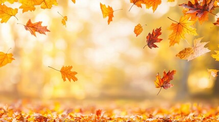 Canvas Print - Autumn Leaves Falling in Forest with Blurred Background