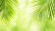 © Narongsag - Lush Green Palm Leaves in Soft Focus   Tropical Nature Background