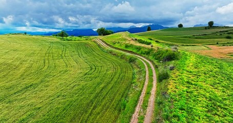 Poster - Aerial view of the countryside dirt road and green wheat fields natural landscape in summer in Xinjiang. Farmland scenery on the mountain in China.