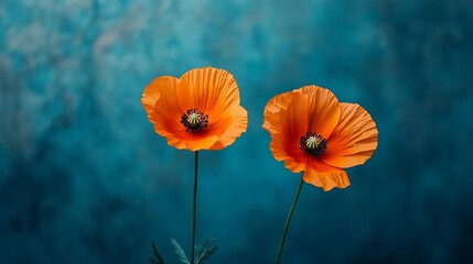 Two orange poppy on a blue background Low key aesthetics photo Blur and selective focus : Generative AI