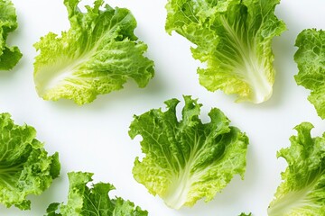 Wall Mural - green lettuce leaves on white background for salad , ai