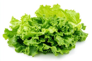 green lettuce leaves on white background for salad , ai