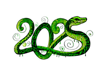 Wall Mural - Happy New Year 2025. Colorful snake on abstract background.