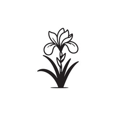 Wall Mural - Simple Botanical Iris Flower Illustration - Clean Vector Line Art.