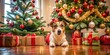 © suchetpong - Wide-angle shot of pet having fun at Christmas near Christmas tree with gifts