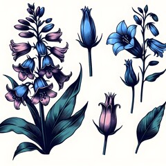 Wall Mural - Blue flower with white background