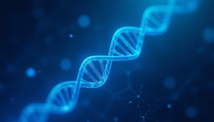 exploring the blueprint of life dna structure in a digital universe