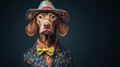 © Dream Team Studio - Hungarian Dog in a Hat and Bow Tie