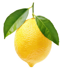 twig with lemon and two leaves isolated on transparent background