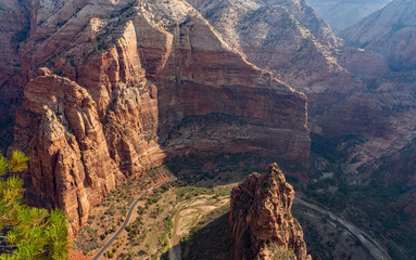 Landscape in Zion national park