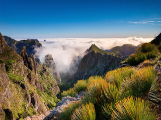 Wall Mural - panorama of the mountains