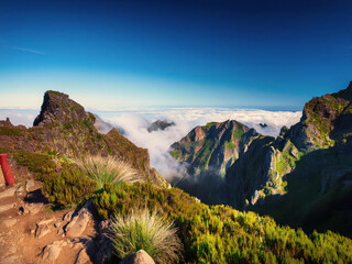 Wall Mural - panorama of the mountains